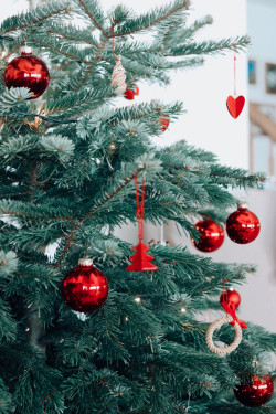 Freelancer-Witz des Monats: Wie sich der Weihnachtsbaum selbst schmückt